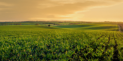 Farmland Market Update | Q3 2025