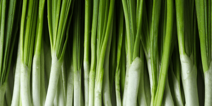 A bundle of green onions