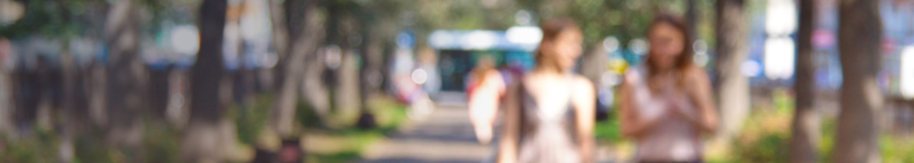 People walking down tree lined avenue