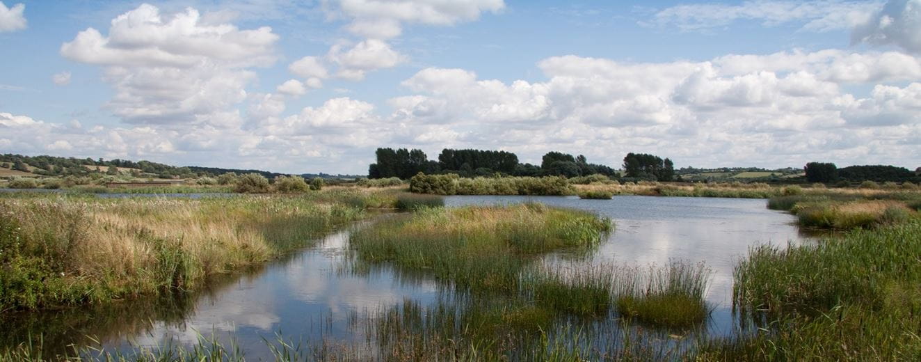 Panoramic photo of marshland with water against a blue sky - potential site for natural capital biodiversity net gain