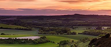 Finance & arbitration