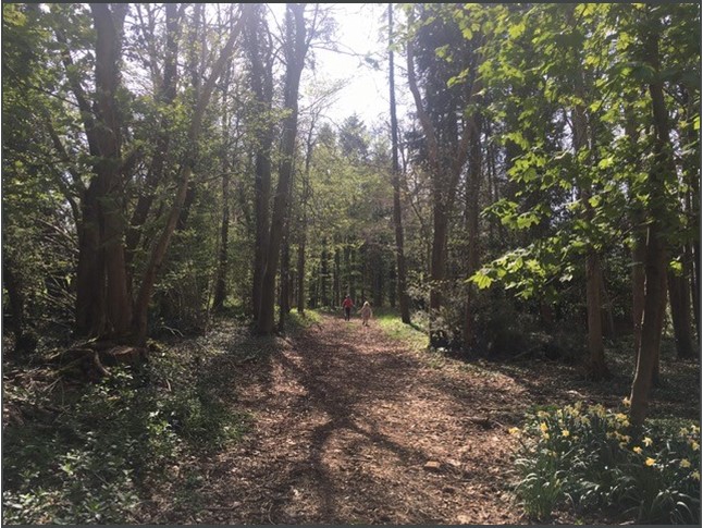 317 to 437 Sq Ft , Units At Southernwood Castle, The Rocks SN14 - Available