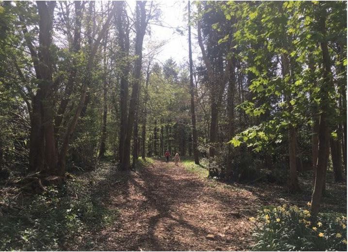 317 to 437 Sq Ft , Units At Southernwood Castle, The Rocks SN14 - Available