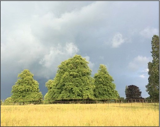 317 to 437 Sq Ft , Units At Southernwood Castle, The Rocks SN14 - Available