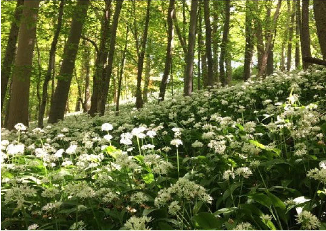 317 to 437 Sq Ft , Units At Southernwood Castle, The Rocks SN14 - Available