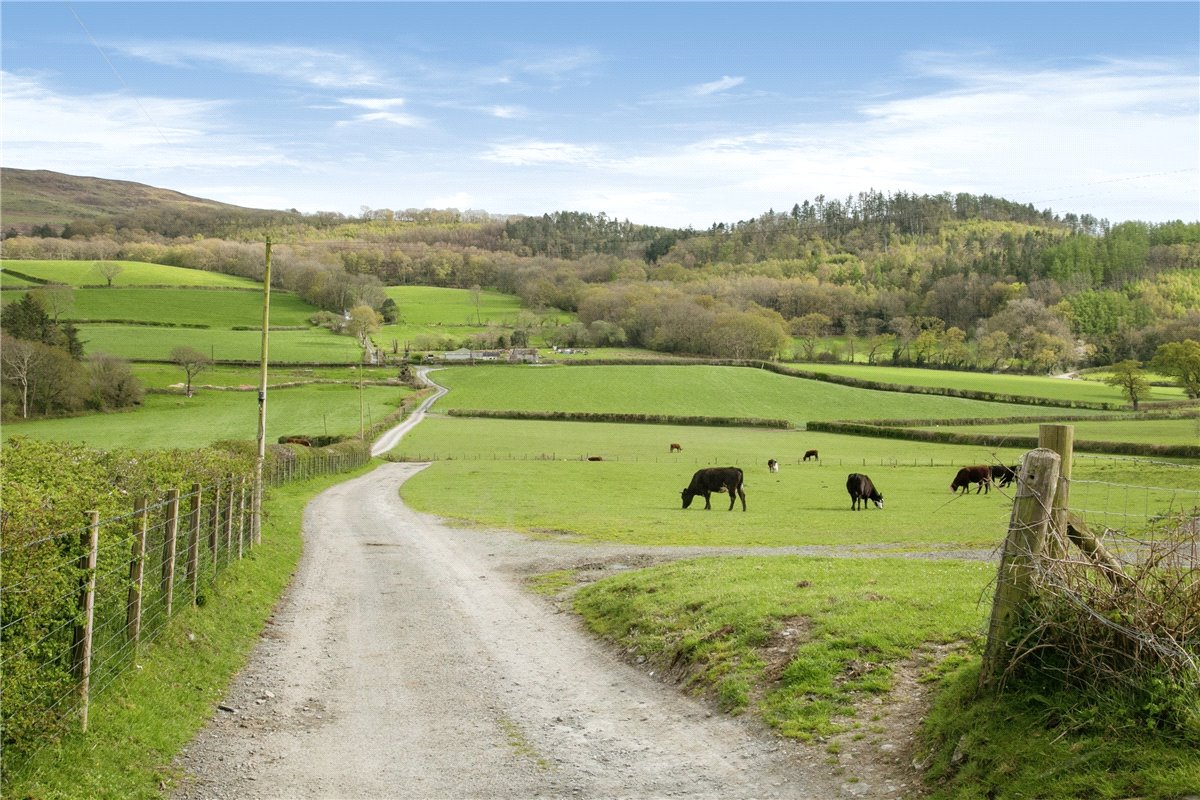 94.1 acres Farm, Tre'r Ddol, Machynlleth SY20 - Sold STC
