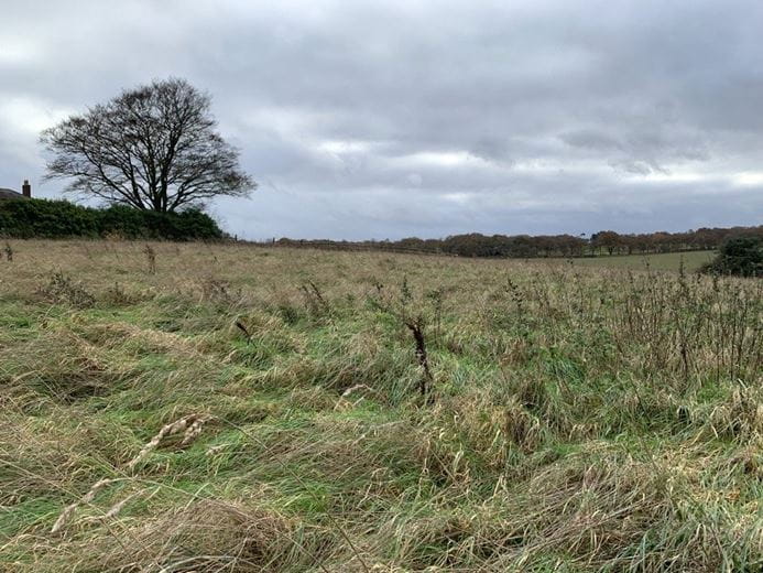 8.4 acres Land, Cappers Lane, Whittington WS14 - Available