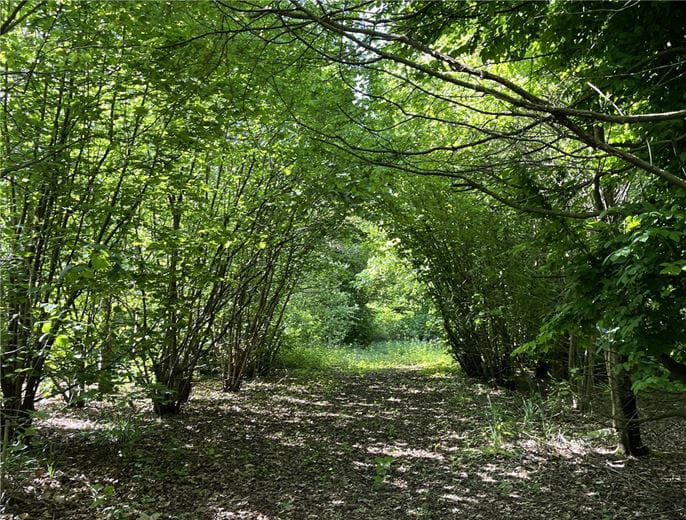  Land, Ockenden Road, Upminster RM14 - Under Offer