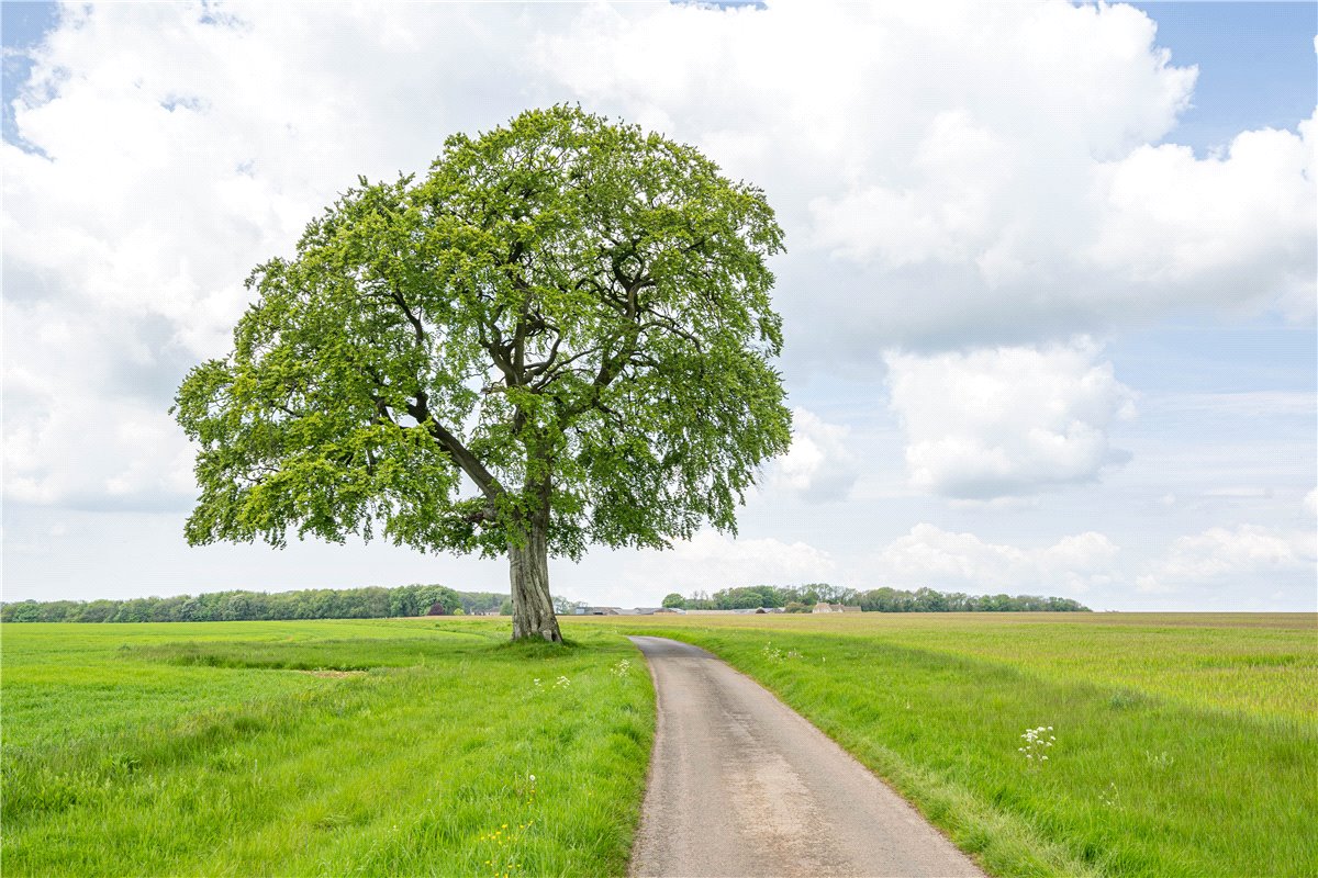 3 bedroom house, Tetbury, Gloucestershire GL8 - Available