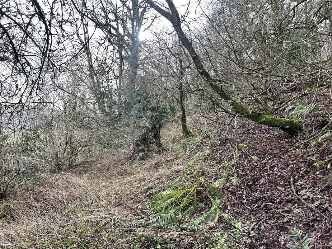 6.2 acres Land, Woodland At Mitcheldean, Mitcheldean GL17 - Sold