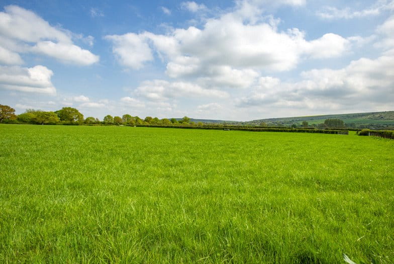 293.1 acres Land, Land At Capps Lane, Westbury, Wiltshire, BA13 - Sold