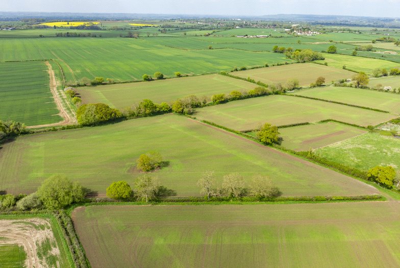 293.1 acres Land, Land At Capps Lane, Westbury, Wiltshire, BA13 - Sold