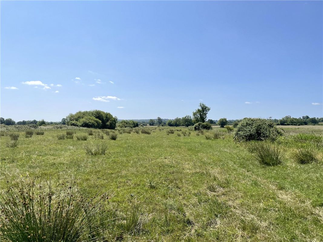 12 acres Land, Street Drove, Street BA16 - Available