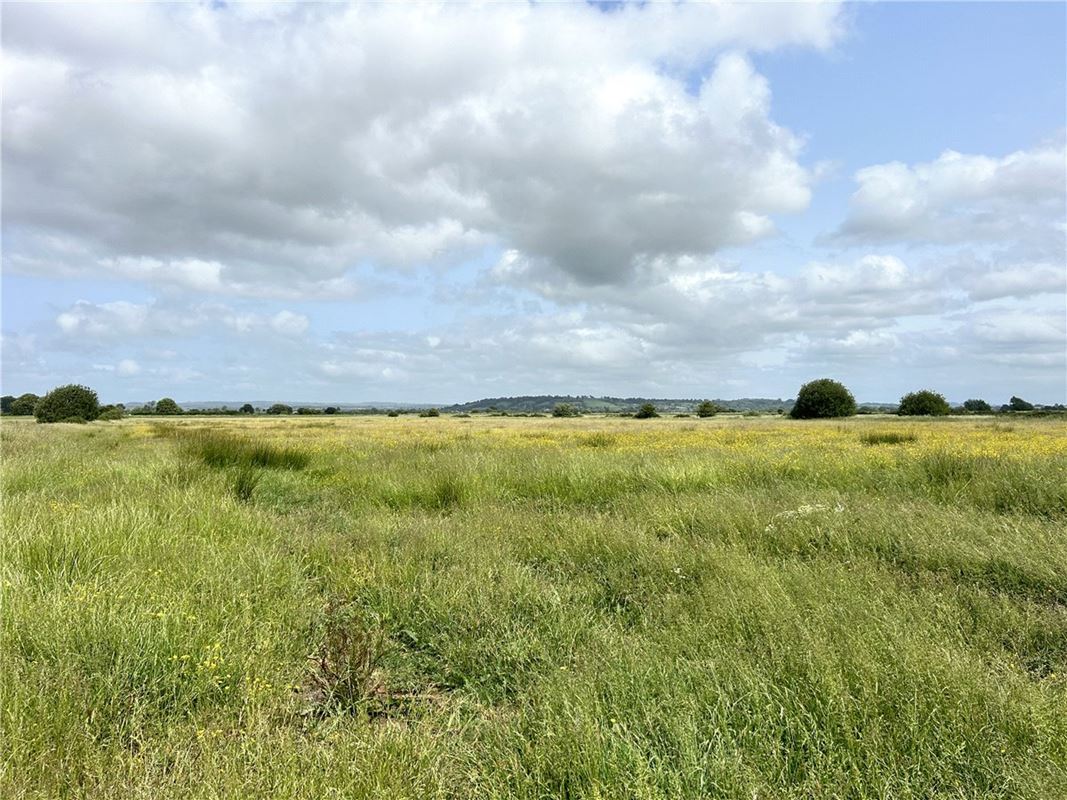 14.3 acres Land, Watchwell Drove, Glastonbury BA6 - Available