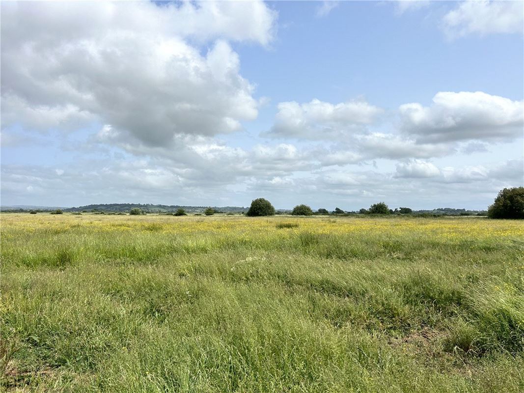 14.3 acres Land, Watchwell Drove, Glastonbury BA6 - Available