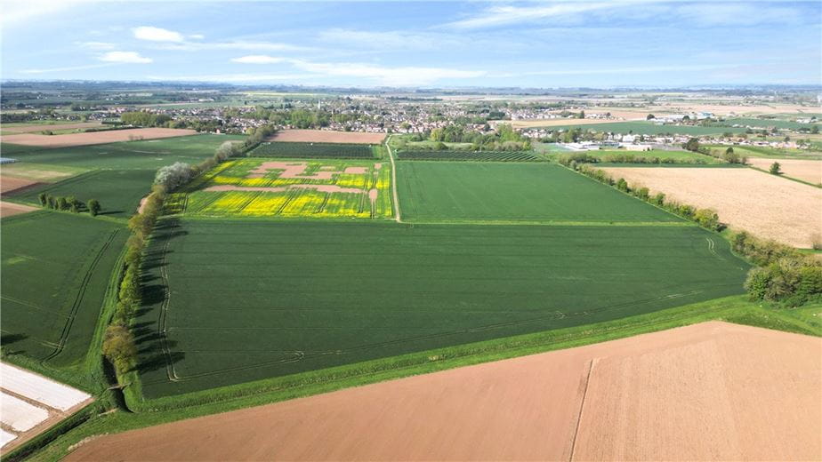 131 acres Land, Hall Marsh Farm, Long Sutton PE12 - Sold