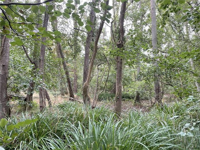 3.8 acres Land, Whittlesford, South Cambridgeshire CB22 - Available