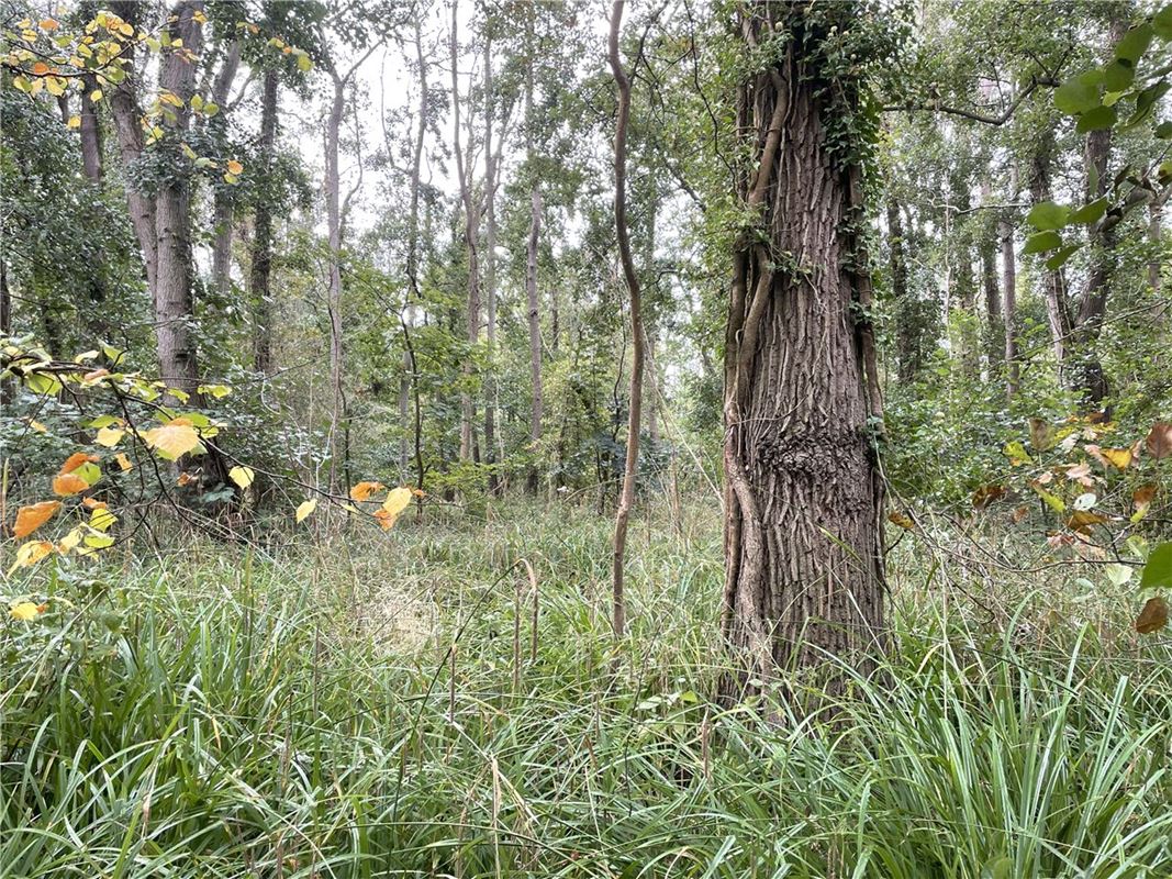 3.8 acres Land, Whittlesford, South Cambridgeshire CB22 - Available