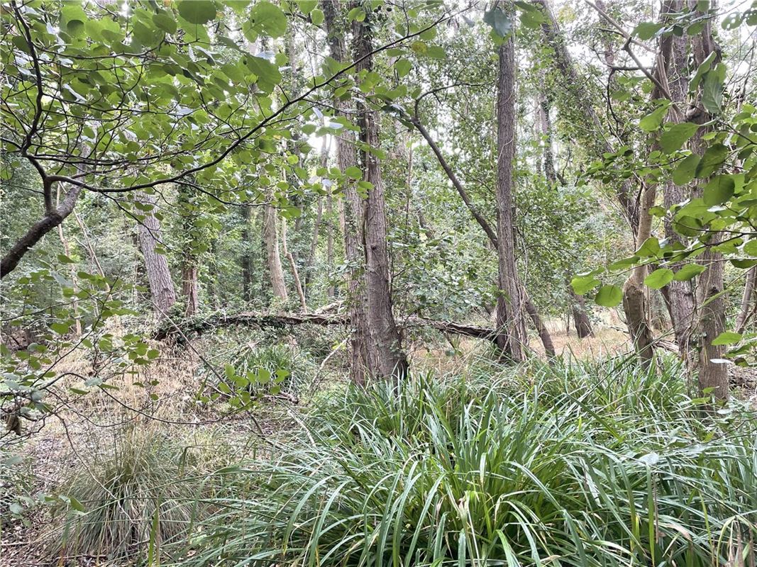 3.8 acres Land, Whittlesford, South Cambridgeshire CB22 - Available