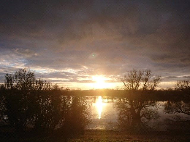 2.5 acres Land, Conger Lane, Holywell PE27 - Available