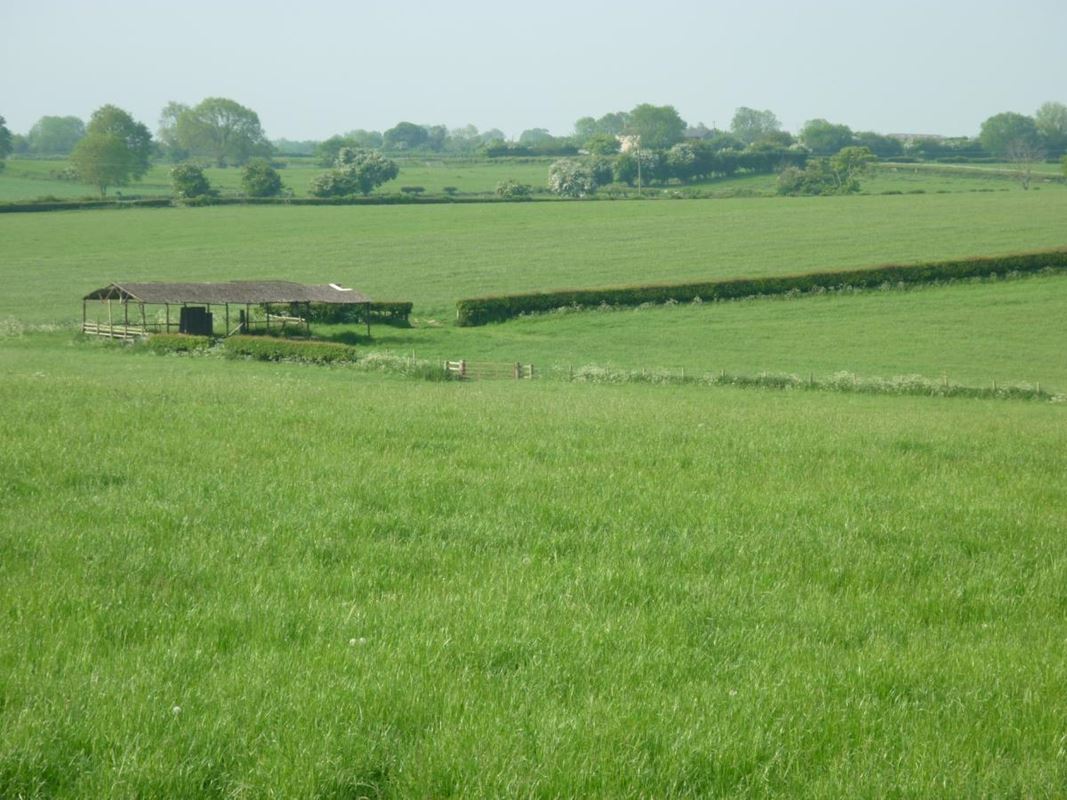 50 acres Land, Brough Park, Richmond DL10 - Sold