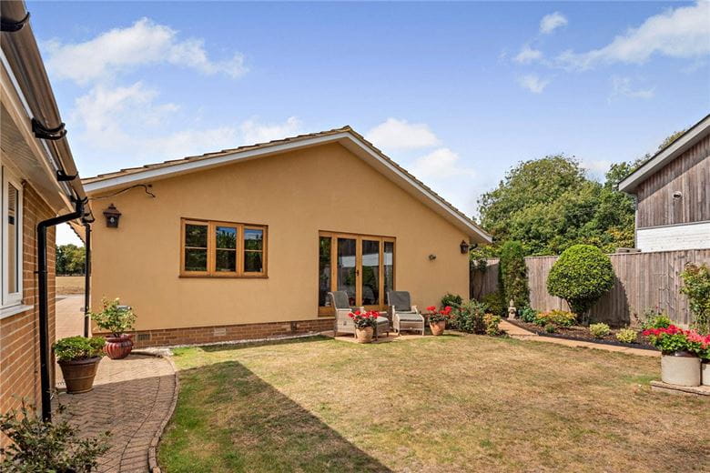 4 bedroom bungalow, Peasemore, Newbury RG20 - Available