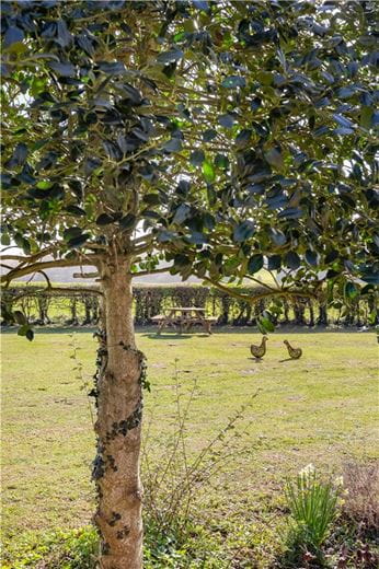 4 bedroom house, Station Road, Lower Heyford OX25 - Available