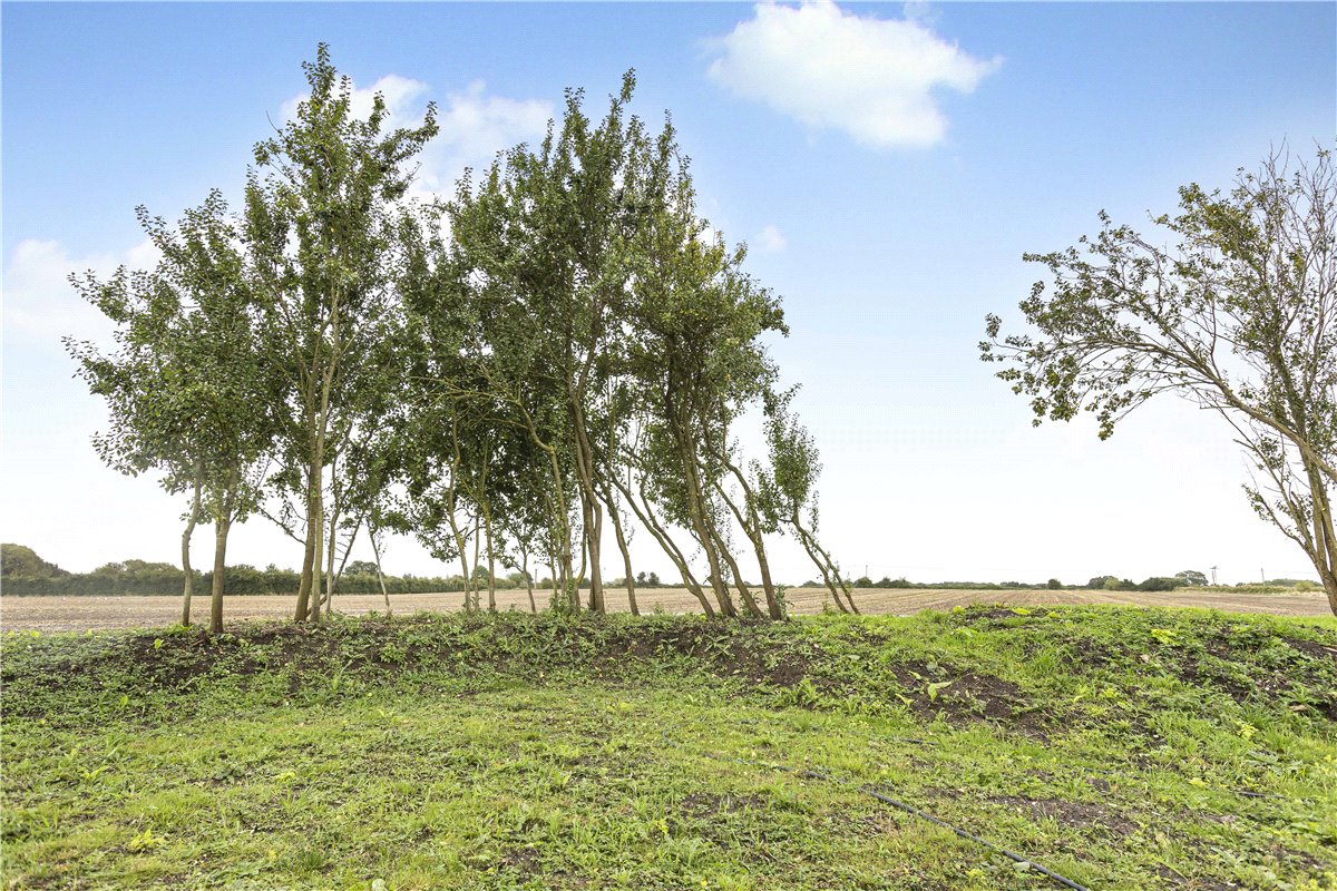 2 bedroom cottage, Mill Lane, Chalgrove OX44 - Available