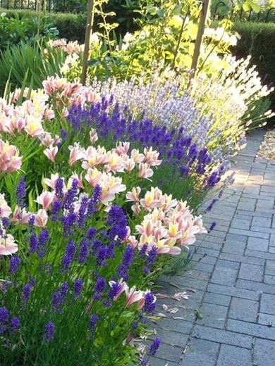 6 bedroom house, Church Road, Hinton Waldrist SN7 - Available