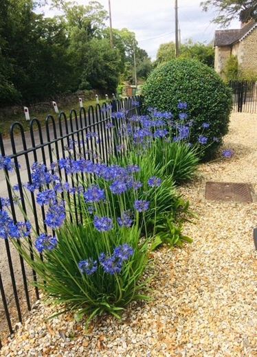 6 bedroom house, Church Road, Hinton Waldrist SN7 - Available