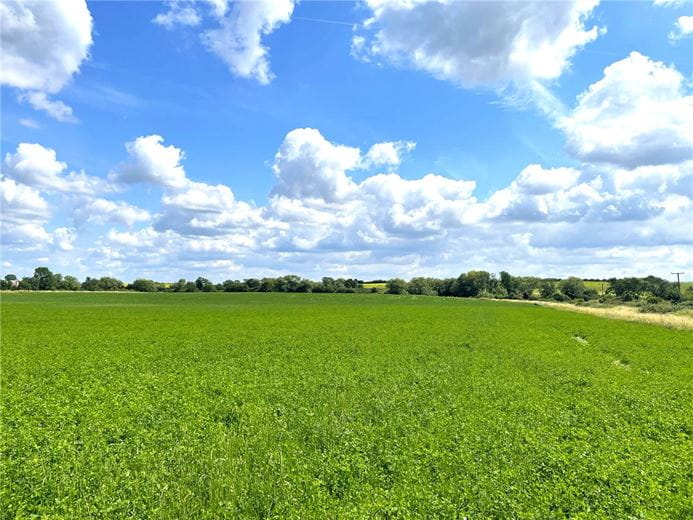 21.7 acres Land, Haselor Lane, Hinton-on-the-Green WR11 - Available