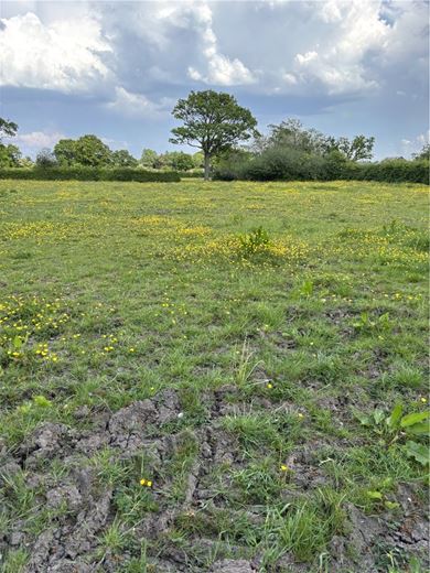  bedroom , Outlying Portions of the Iscoyd Estate - Lot 5, Whitchurch SY13 - Available