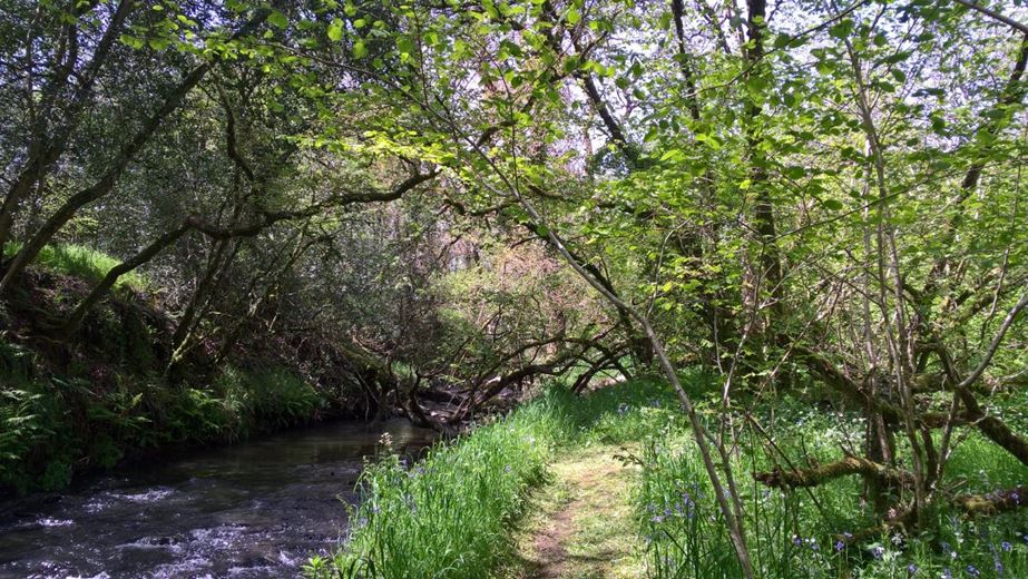 8 bedroom , Buckland Brewer, Bideford EX39 - Available