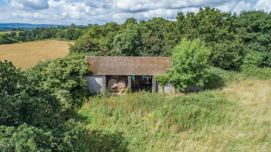 9.8 acres Land, Greenway Farm, Thurloxton TA2 - Available