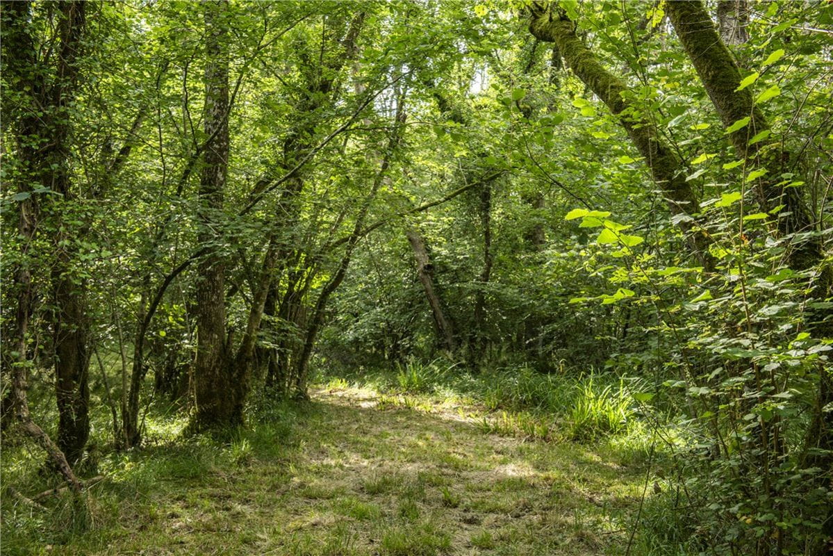 227 acres House, Buckland St. Mary, Chard TA20 - Available