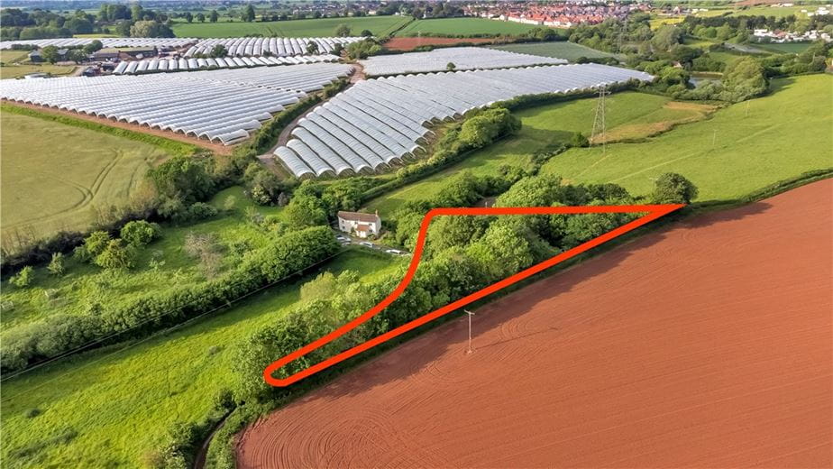 0.4 acres Land, Teckhill Copse, Teckhill Lane TA6 - Sold