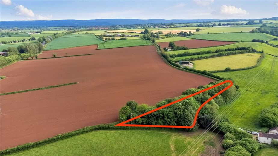 0.4 acres Land, Teckhill Copse, Teckhill Lane TA6 - Sold