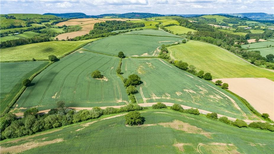 518 acres Farm, Dottery, Bridport DT6 - Sold