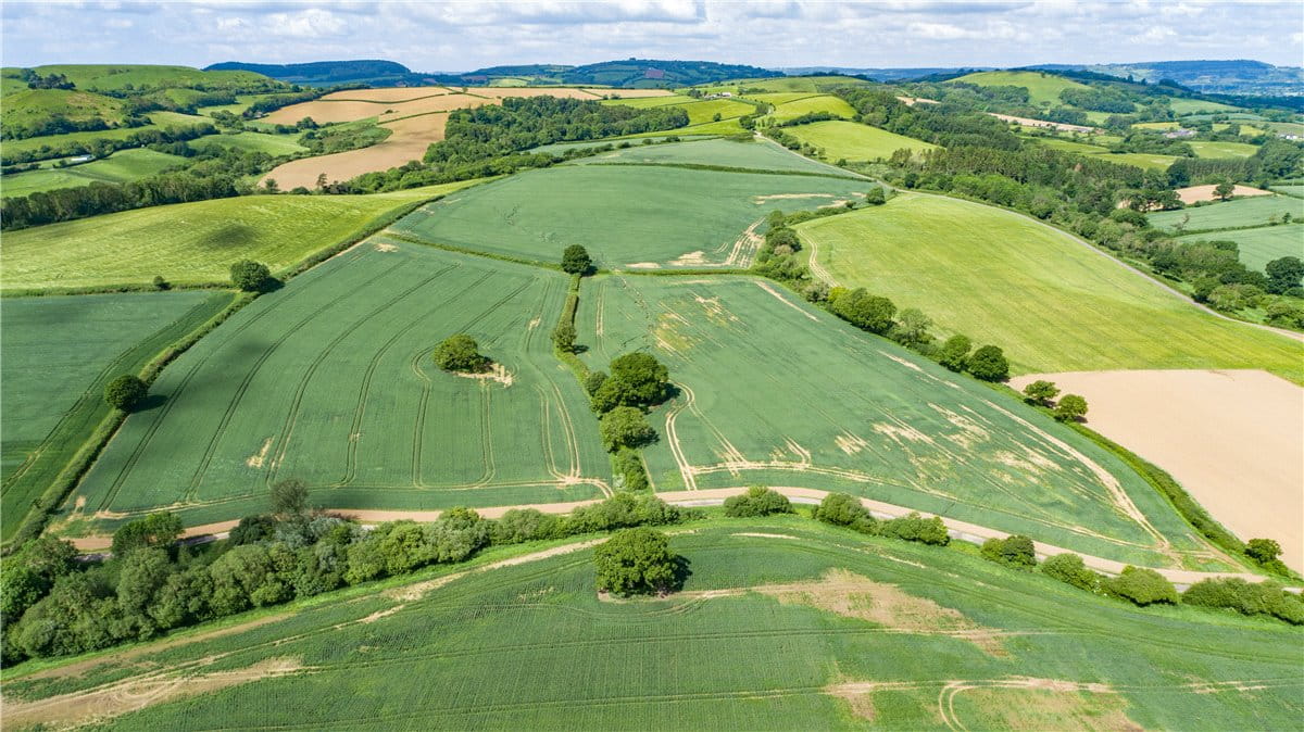 518 acres Farm, Dottery, Bridport DT6 - Sold