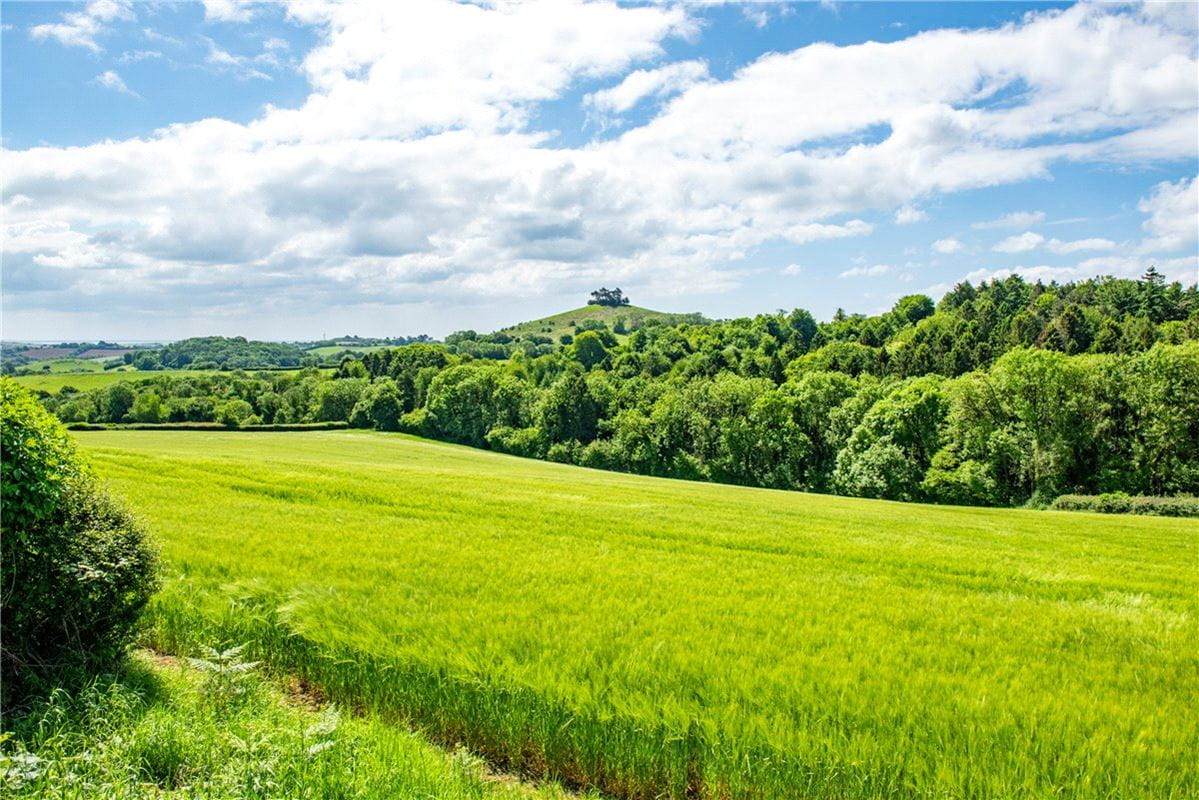 518 acres Farm, Dottery, Bridport DT6 - Sold