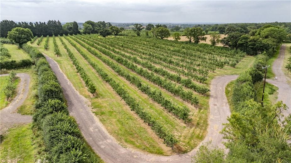 41.4 acres Land, Shepton Mallett, Somerset BA4 - Sold