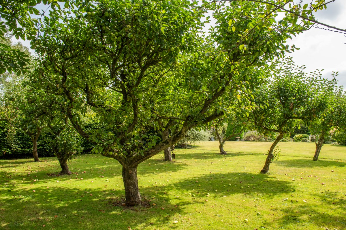 60 acres House, Manor Farm, Alhampton BA4 - Sold