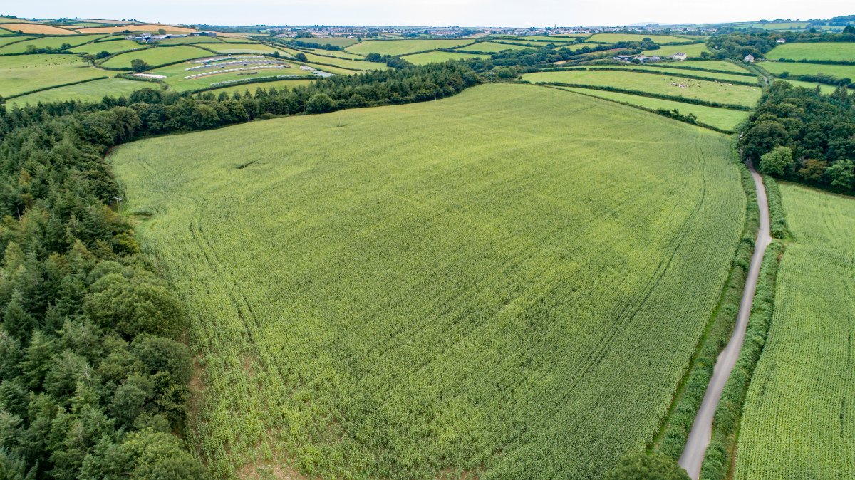 21.6 acres Land, Lot 3: Land To South Of Chope’s Bridge, Weare Giffard EX39 - Sold