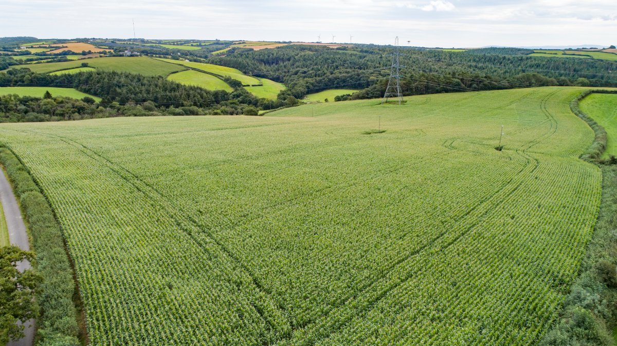 41 acres Land, Lot 5: Land At Great Huxhill Farm, Weare Giffard EX39 - Sold STC