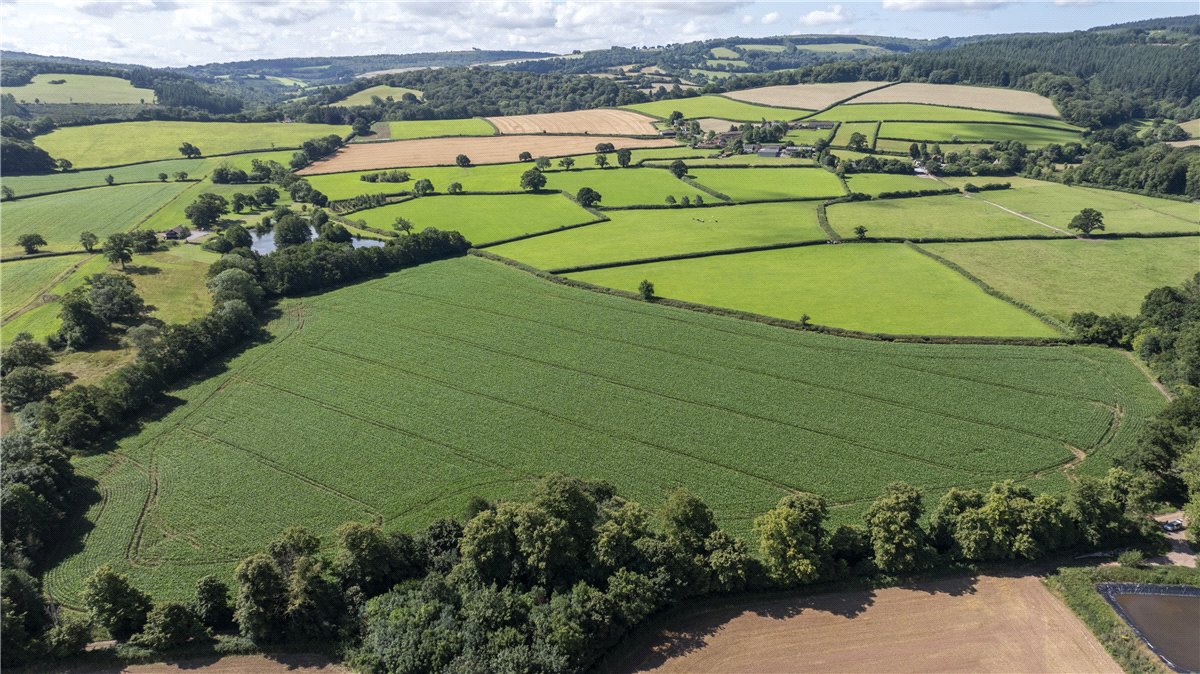19.3 acres Land, Land At Spaxton, Bridgwater TA5 - Sold