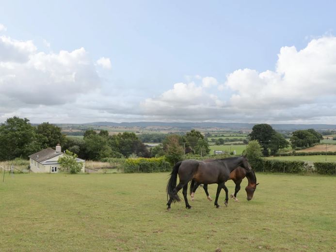 9 bedroom house, St. Weonards, Hereford HR2 - Available