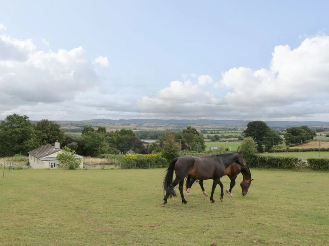 9 bedroom house, St. Weonards, Hereford HR2 - Available