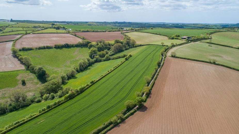 120.1 acres Land, Halwell, Totnes TQ9 - Available