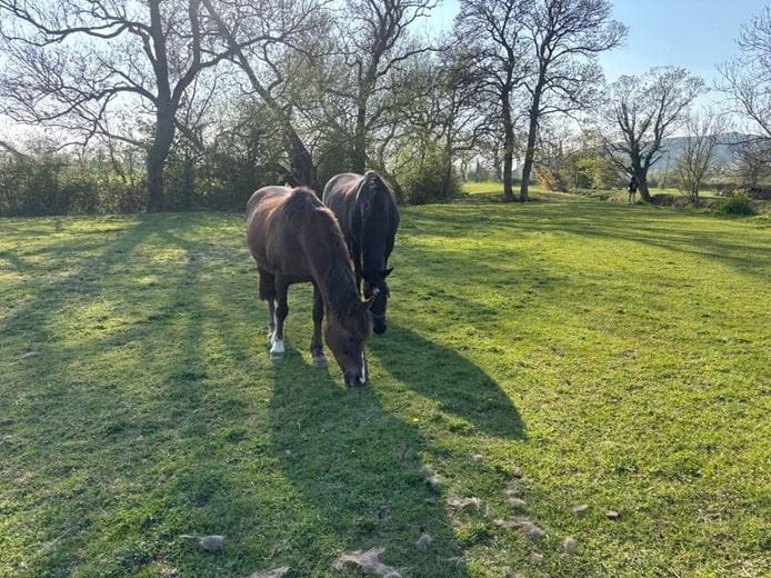 5.9 acres Land, Lot 2: Land At Compton Bishop Farm, Axbridge BS26 - Available