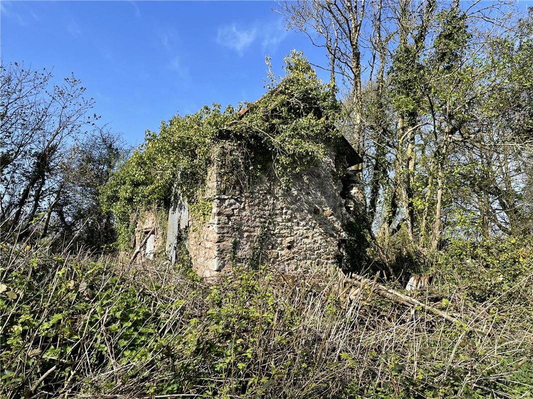  bedroom cottage, Trood's Cottage, Clayhidon EX15 - Available